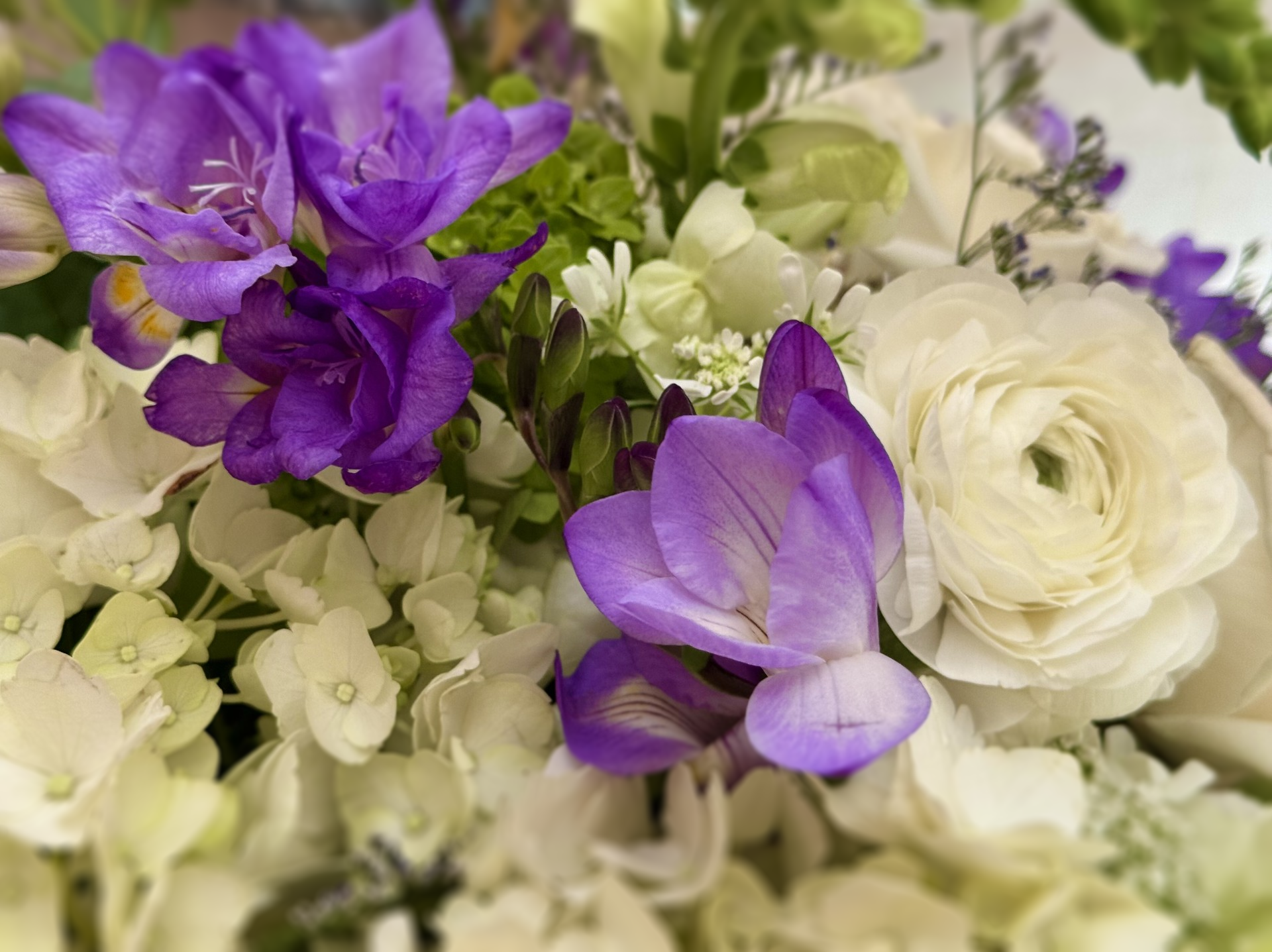 Bouquet